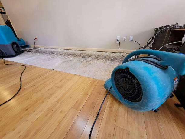 Professional Ceiling Water Damage Repair technician working in Standish, ME